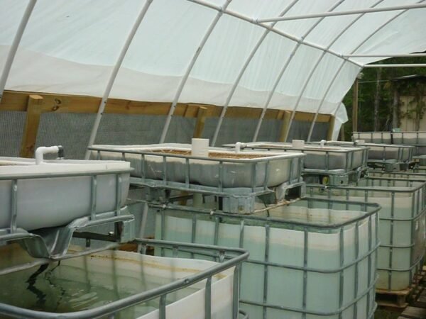Kolam KPP 1000 L (5)